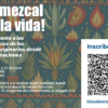 ¡Un mezcal por la vida! Acercamiento a las experiencias de los pueblos originarios desde sus celebraciones