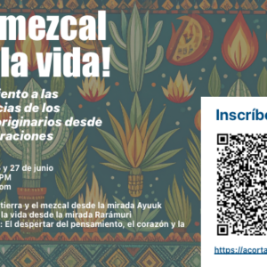 ¡Un mezcal por la vida! Acercamiento a las experiencias de los pueblos originarios desde sus celebraciones