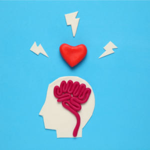 TALLER EN INTELIGENCIA EMOCIONAL - NIVEL 1